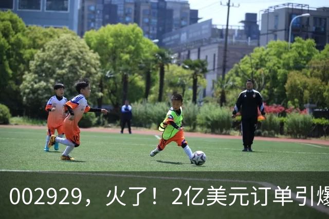 002929，火了！2亿美元订单引爆三连板，两家机构“快进快出”